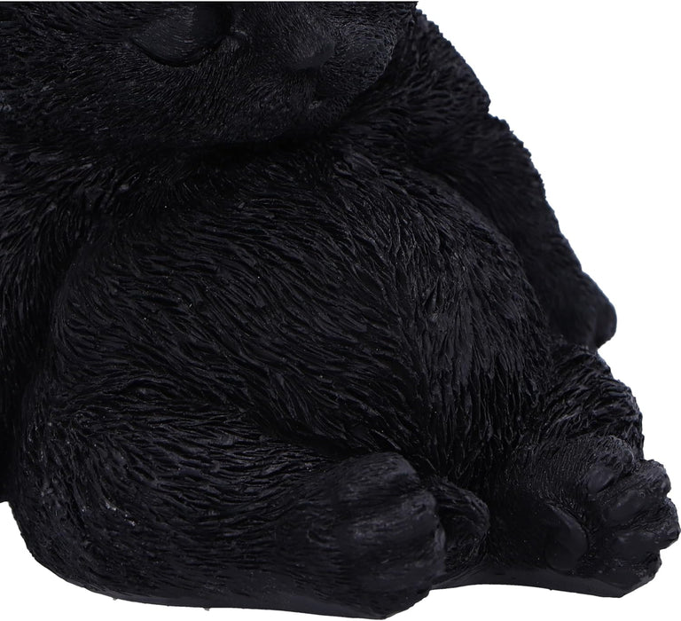 Nemesis Now Daydream 13cm, Resin, Black, Cat Figure, Black Cat Ornament, Collectable Cat Giftware, Cast in the Finest Resin, Expertly Hand-Painted