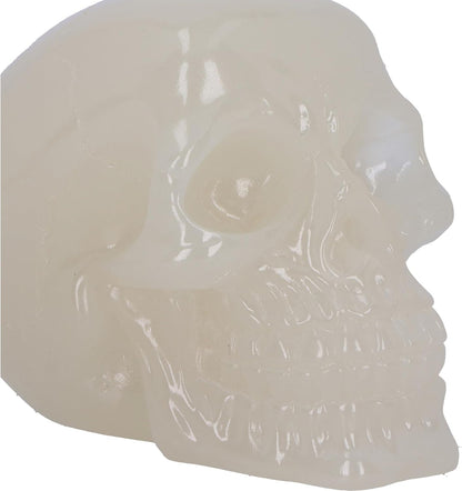 Nemesis Now Phosphorescent Skull 8cm, Medium, Resin, White, Glow in the Dark Skull Ornament, Luminous Green Glowing Skull, Macabre Home Décor, Cast in the Finest Resin