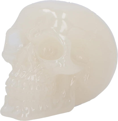 Nemesis Now Phosphorescent Skull 8cm, Medium, Resin, White, Glow in the Dark Skull Ornament, Luminous Green Glowing Skull, Macabre Home Décor, Cast in the Finest Resin