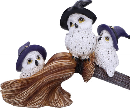 Nemesis Now Feathered Broomstick 26cm, Resin, White, Owl Figure, White Owl Ornament, Collectable Owl Giftware, Cast in the Finest Resin, Expertly Hand-Painted