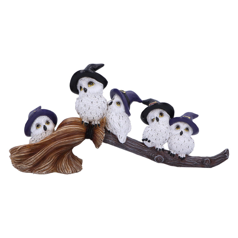 Nemesis Now Feathered Broomstick 26cm, Resin, White, Owl Figure, White Owl Ornament, Collectable Owl Giftware, Cast in the Finest Resin, Expertly Hand-Painted