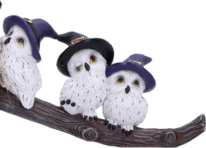 Nemesis Now Feathered Broomstick 26cm, Resin, White, Owl Figure, White Owl Ornament, Collectable Owl Giftware, Cast in the Finest Resin, Expertly Hand-Painted