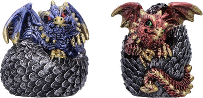 Nemesis Now Eggling Hoard 5cm, Resin, Silver, Dragon Figure, Silver Dragon Ornament, Collectable Dragon Giftware, Cast in the Finest Resin, Expertly Hand-Painted
