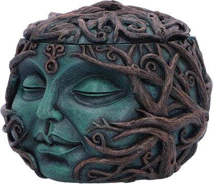 Nemesis Now Tree Spirit Treasure Box 10.5cm, Resin, Green, Vined Tree Face Box, Spiritual Nature Gift, Removable Lid, Cast in the Finest Resin, Expertly Hand-Painted