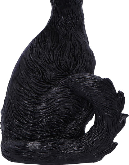 Nemesis Now Kit 21cm, Resin, Black, Whimsical Cat Figure, Silly Black Cat Ornament, Collectable Cat Giftware, Cast in the Finest Resin, Expertly Hand-Painted