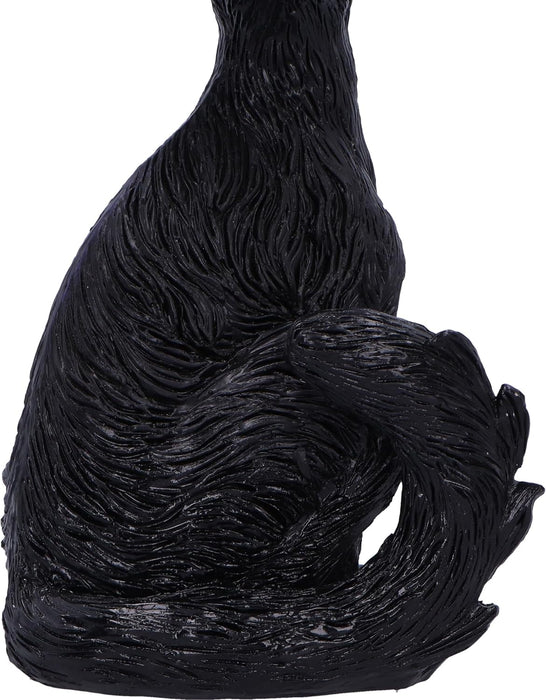 Nemesis Now Kit 21cm, Resin, Black, Whimsical Cat Figure, Silly Black Cat Ornament, Collectable Cat Giftware, Cast in the Finest Resin, Expertly Hand-Painted