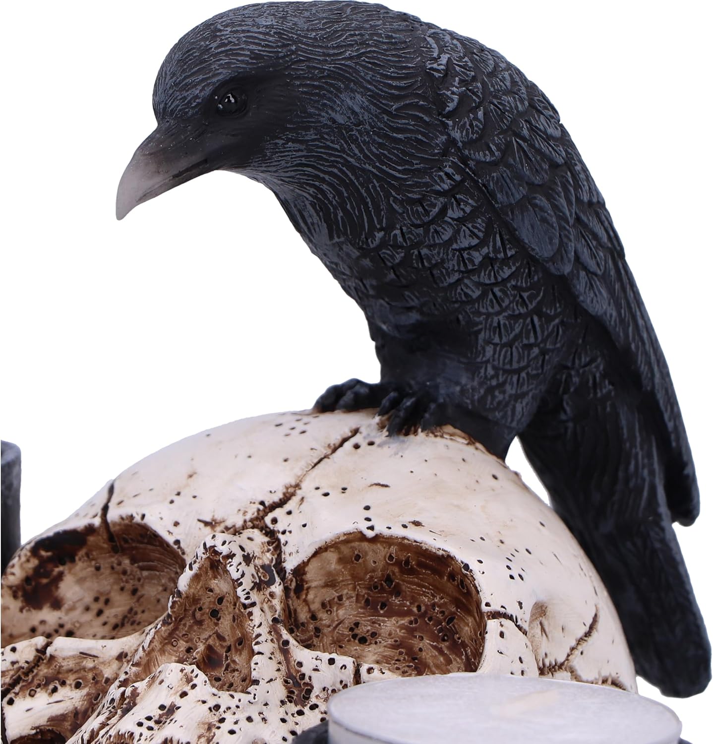 Nevermore Raven And Skull Candle Holder 15Cm