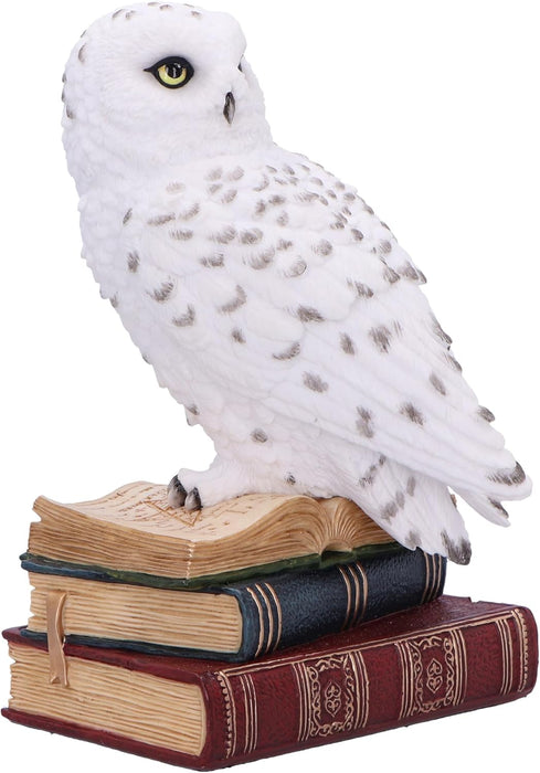 Nemesis Now Library of Wisdom Figurine 17cm, Resin, White, White Owl on Books Ornament, Fantasy Books Book Shelf Display Piece, Cast in the Finest Resin, Expertly Hand-Painted