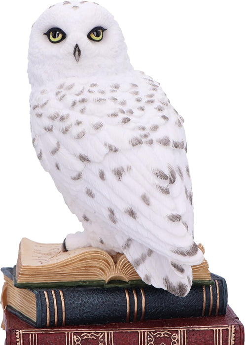 Nemesis Now Library of Wisdom Figurine 17cm, Resin, White, White Owl on Books Ornament, Fantasy Books Book Shelf Display Piece, Cast in the Finest Resin, Expertly Hand-Painted