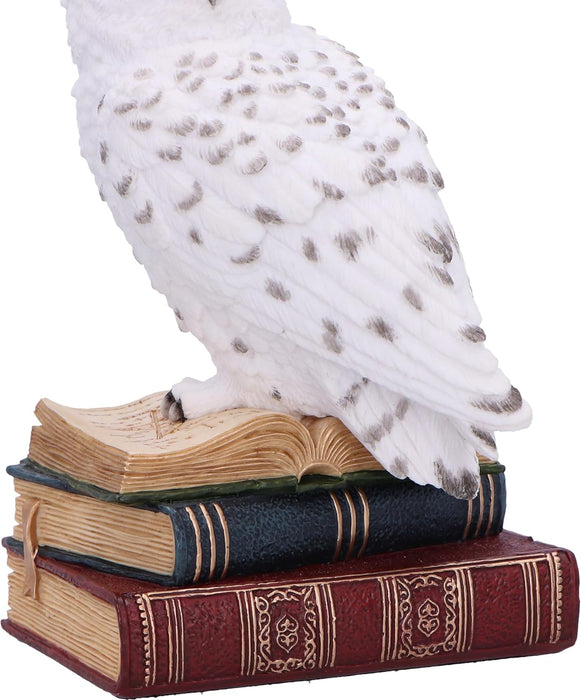Nemesis Now Library of Wisdom Figurine 17cm, Resin, White, White Owl on Books Ornament, Fantasy Books Book Shelf Display Piece, Cast in the Finest Resin, Expertly Hand-Painted