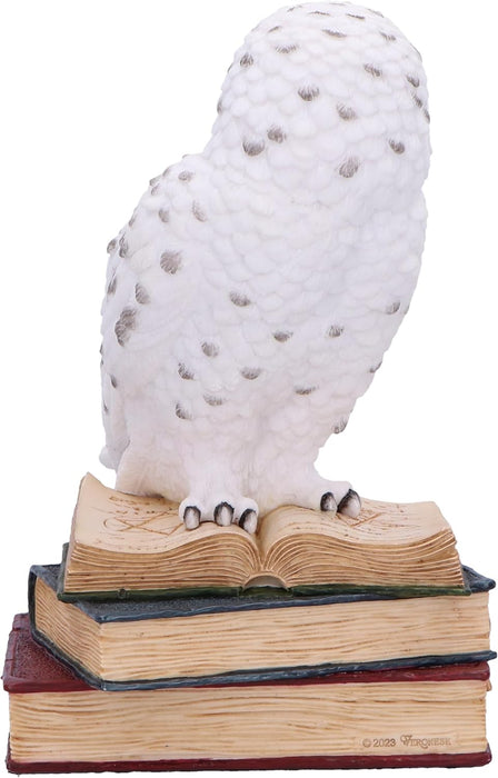 Nemesis Now Library of Wisdom Figurine 17cm, Resin, White, White Owl on Books Ornament, Fantasy Books Book Shelf Display Piece, Cast in the Finest Resin, Expertly Hand-Painted