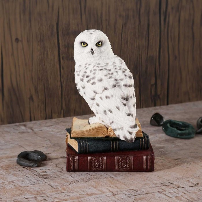 Nemesis Now Library of Wisdom Figurine 17cm, Resin, White, White Owl on Books Ornament, Fantasy Books Book Shelf Display Piece, Cast in the Finest Resin, Expertly Hand-Painted