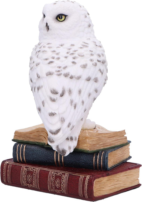 Nemesis Now Library of Wisdom Figurine 17cm, Resin, White, White Owl on Books Ornament, Fantasy Books Book Shelf Display Piece, Cast in the Finest Resin, Expertly Hand-Painted