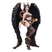 Nemesis Now Lilith The First Temptress Figurine 25.5cm, Resin, Black, Cast in the Finest Resin, Expertly Hand-Painted