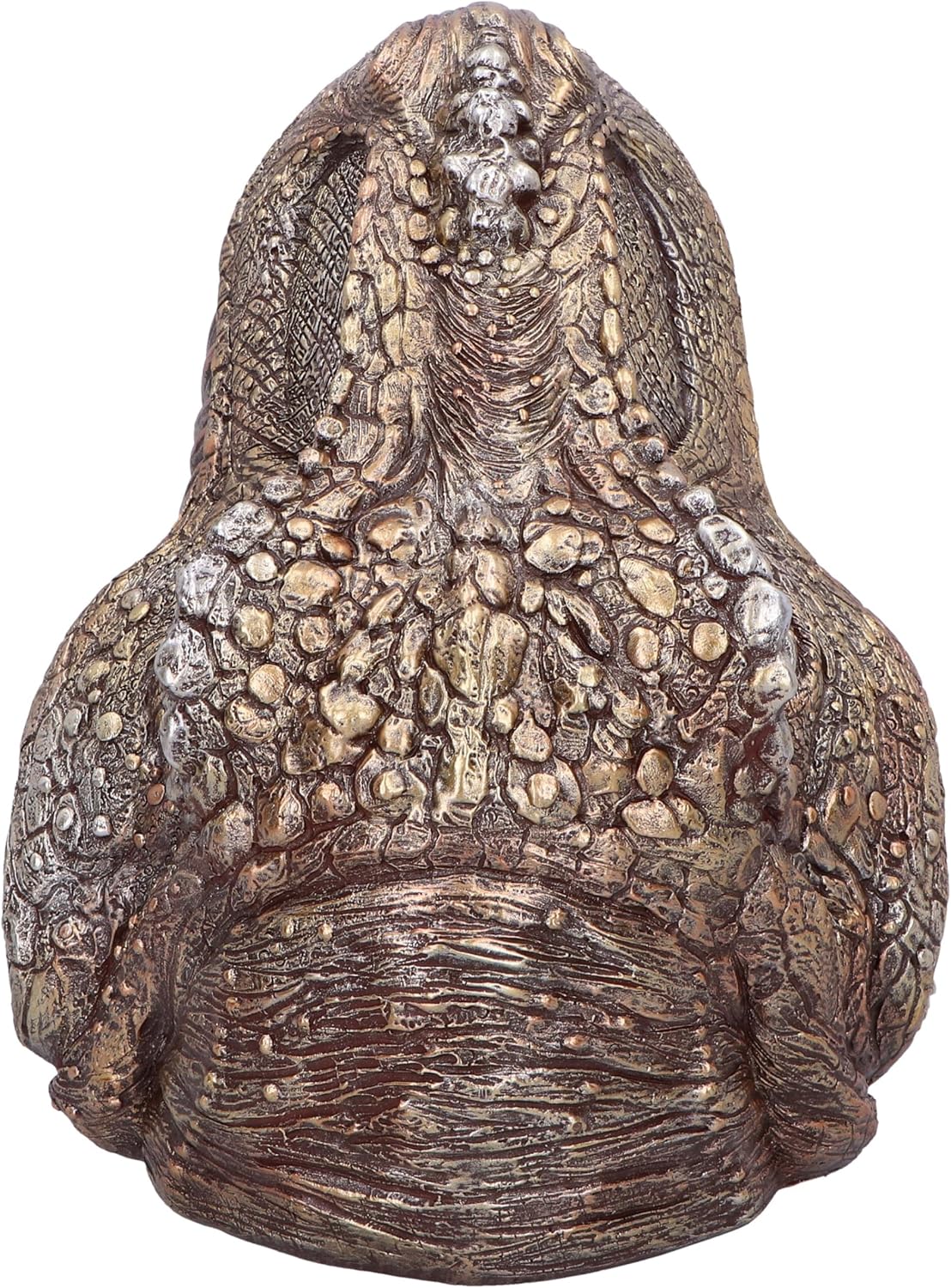 Nemesis Now Tyrannosaurus Rex Dish Dinosaur Head Plate 28cm, Resin, Cast in the Finest Resin, Expertly Hand-Painted