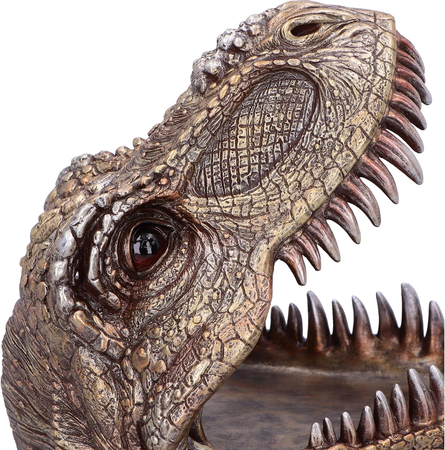 Nemesis Now Tyrannosaurus Rex Dish Dinosaur Head Plate 28cm, Resin, Cast in the Finest Resin, Expertly Hand-Painted