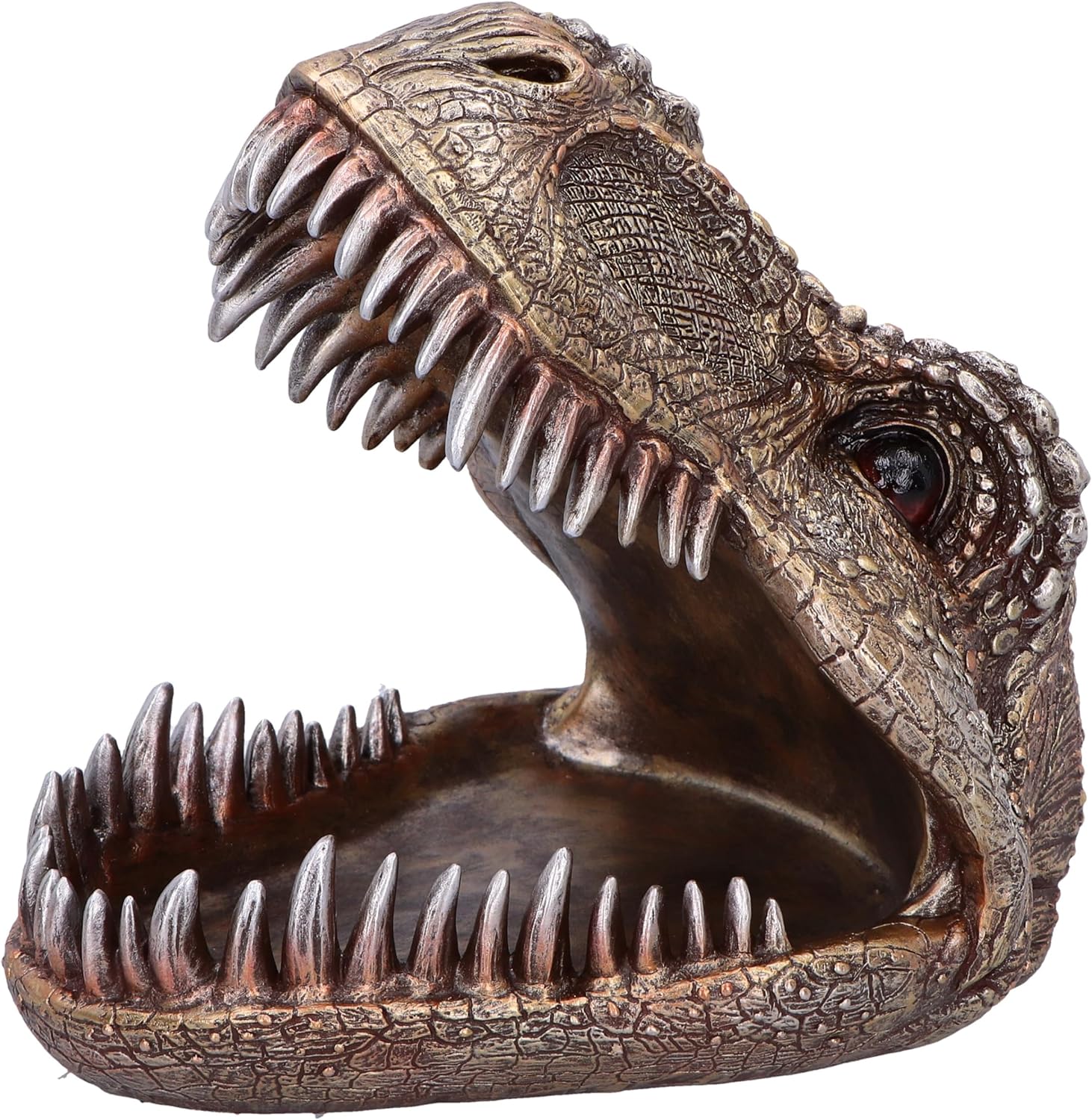 Nemesis Now Tyrannosaurus Rex Dish Dinosaur Head Plate 28cm, Resin, Cast in the Finest Resin, Expertly Hand-Painted