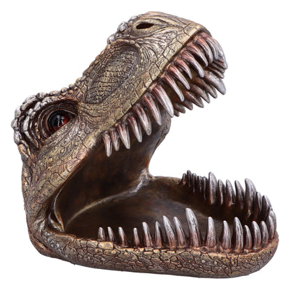 Nemesis Now Tyrannosaurus Rex Dish Dinosaur Head Plate 28cm, Resin, Cast in the Finest Resin, Expertly Hand-Painted