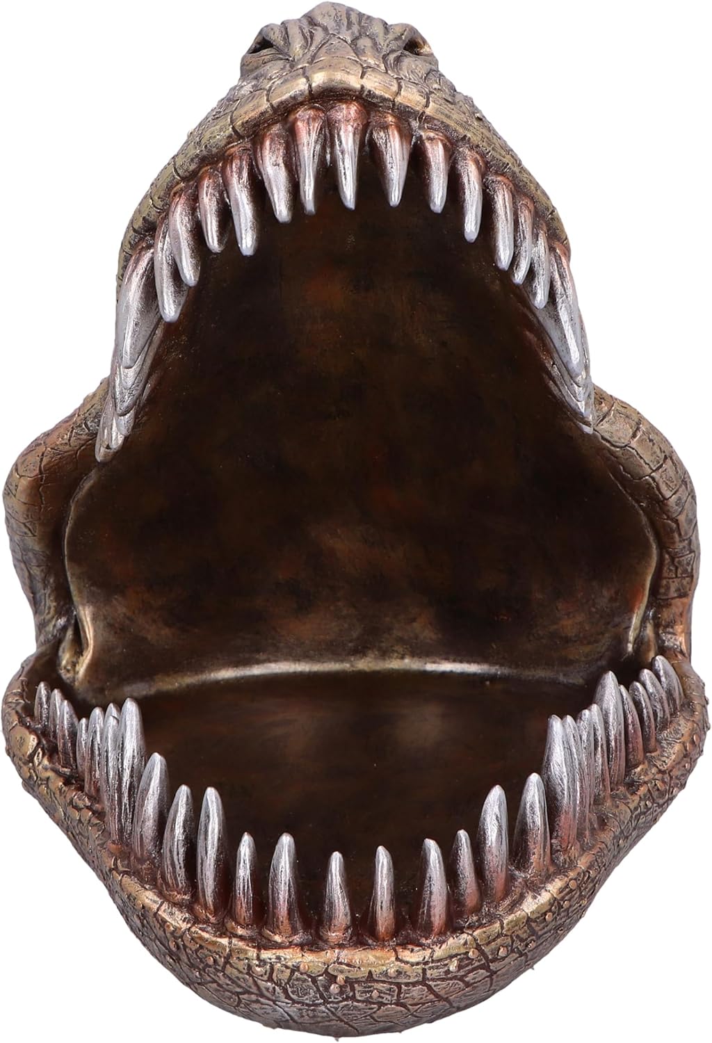 Nemesis Now Tyrannosaurus Rex Dish Dinosaur Head Plate 28cm, Resin, Cast in the Finest Resin, Expertly Hand-Painted