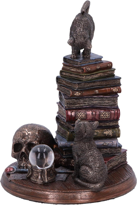 Nemesis Now Feline Scholars 18.5cm, Resin, Cast in the Finest Resin, Expertly Hand-Painted