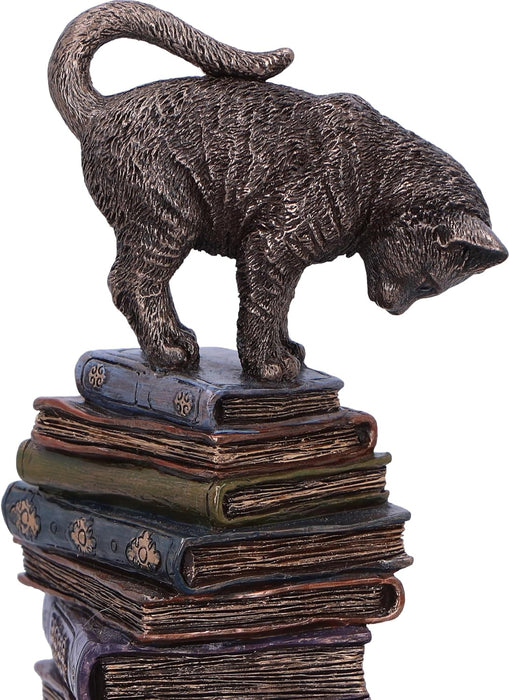 Nemesis Now Feline Scholars 18.5cm, Resin, Cast in the Finest Resin, Expertly Hand-Painted