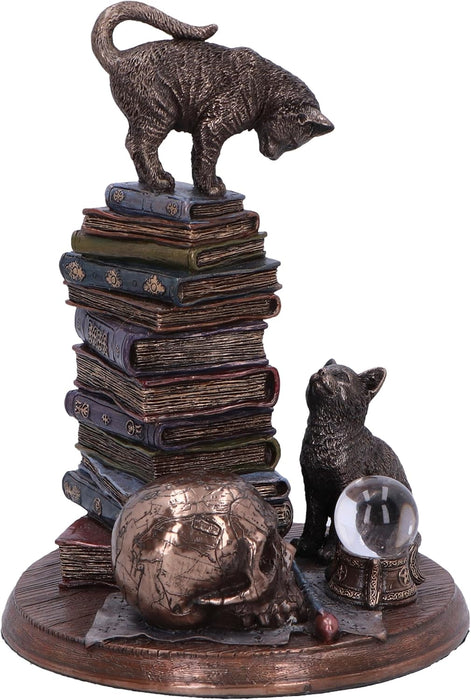 Nemesis Now Feline Scholars 18.5cm, Resin, Cast in the Finest Resin, Expertly Hand-Painted