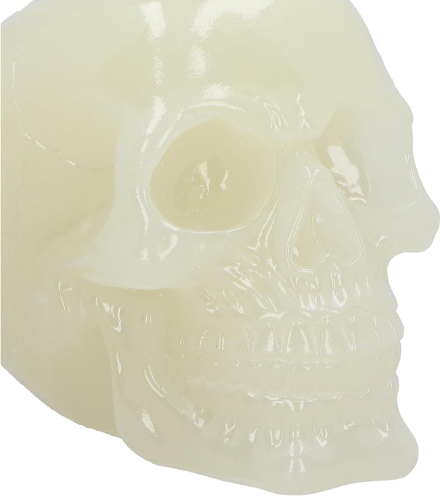 Nemesis Now Phosphorescent Glow in Dark Skull Figurine, Resin, Luminous Green, 13.5cm