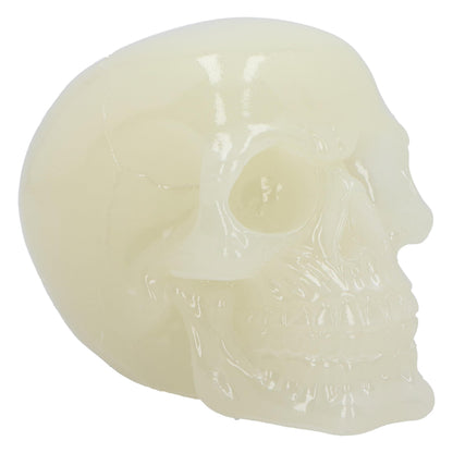 Nemesis Now Phosphorescent Glow in Dark Skull Figurine, Resin, Luminous Green, 13.5cm
