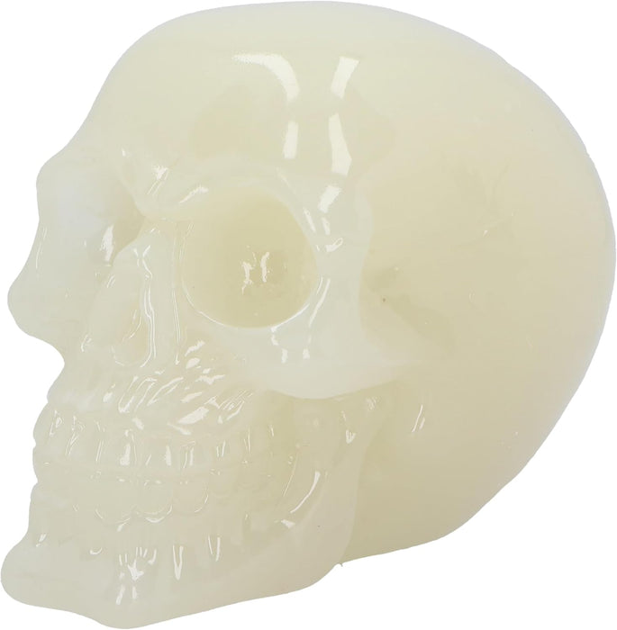 Nemesis Now Phosphorescent Glow in Dark Skull Figurine, Resin, Luminous Green, 13.5cm
