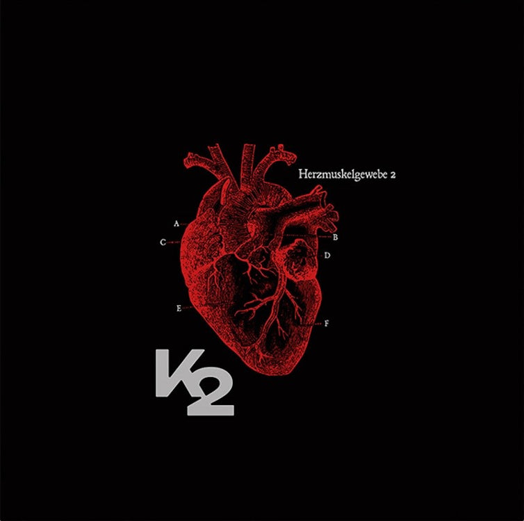 Herzmuskelgewebe