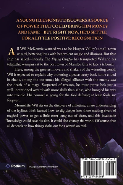 Land of the Leylines: A Cozy Fantasy: 3 (Friendly Neighborhood Wizard
