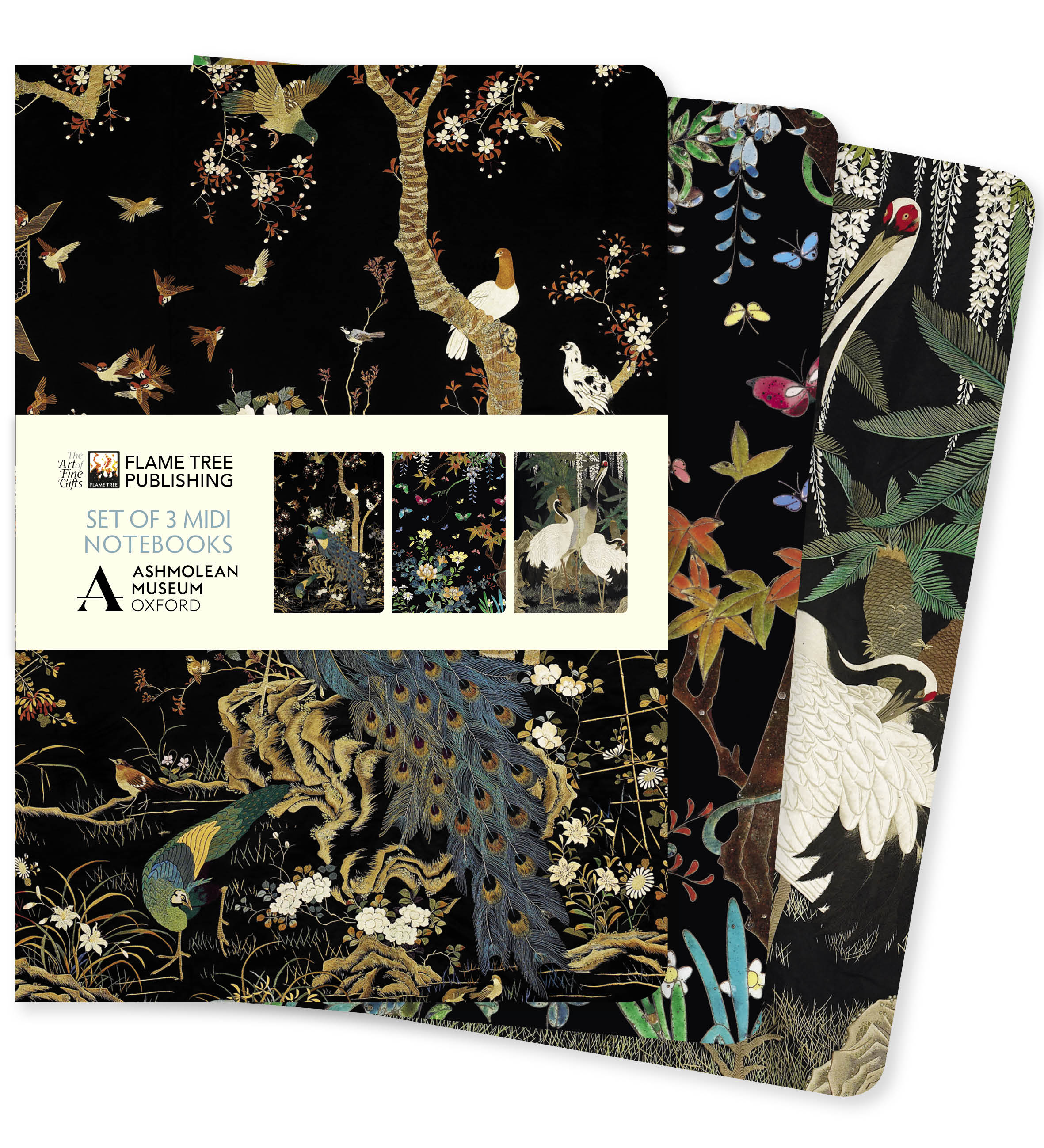 Ashmolean Museum Set of 3 Midi Notebooks
