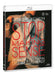 Stop Making Sense - Bd