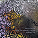Music for Healing - Colours Volume One