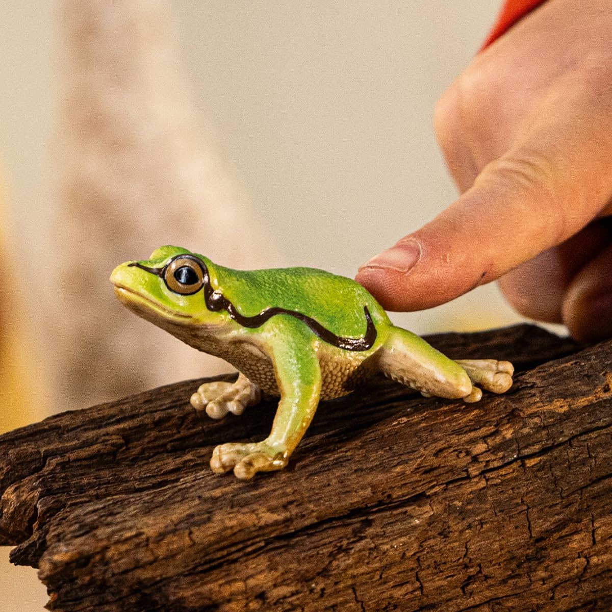 schleich 14882 European Tree Frog, from 3 years WILD LIFE - Figurine, 4 x 5 x 3 cm