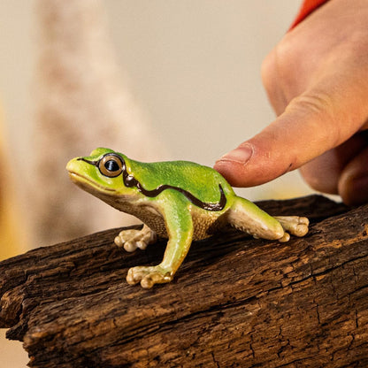 schleich 14882 European Tree Frog, from 3 years WILD LIFE - Figurine, 4 x 5 x 3 cm