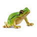 schleich 14882 European Tree Frog, from 3 years WILD LIFE - Figurine, 4 x 5 x 3 cm