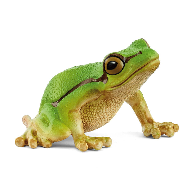 schleich 14882 European Tree Frog, from 3 years WILD LIFE - Figurine, 4 x 5 x 3 cm
