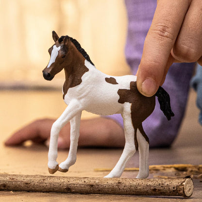 schleich 14899 Paint Horse Foal, from 5 years HORSE CLUB - Figurine, 3 x 8 x 8 cm
