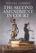 The Second Amendment in Court