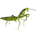 3D Paper Model Praying Mantis
