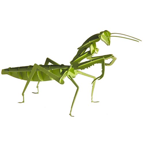 3D Paper Model Praying Mantis