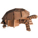 3D Paper Model Turtle