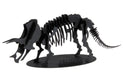 Fridolin 3D Papiermodell Triceratops