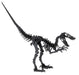 3D Paper Model Velociraptor
