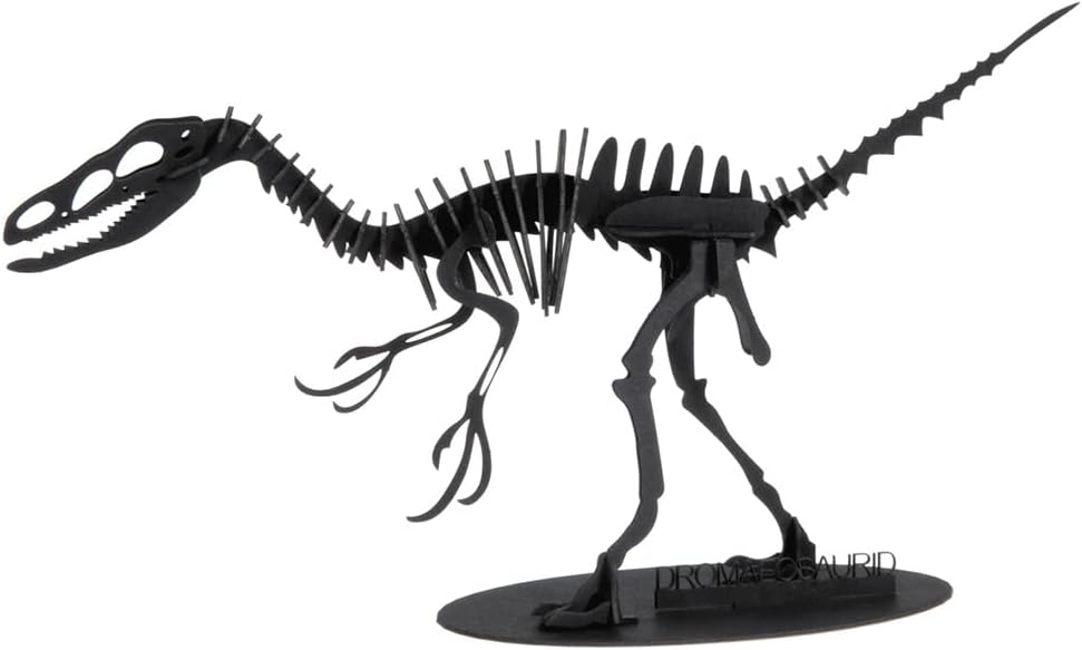 3D Paper Model Dromaeosaurus