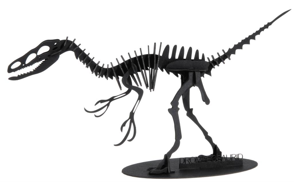 3D Paper Model Dromaeosaurus