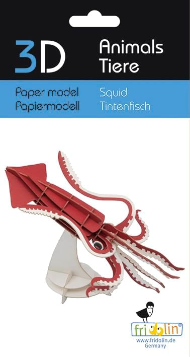 Fridolin 11743 Modello di carta 3D - calamari