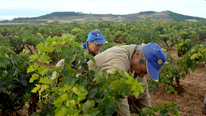 LÓPEZ-LINARES, JOSE LUIS - DAS LAND DER TAUSEND WEINE