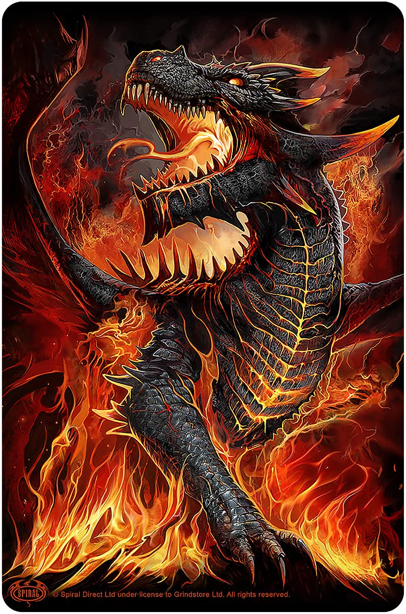 Spiral - DRACONIS (White Metal Cards) One Size